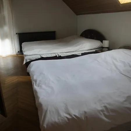 Szuzanna Fenyves Panzio B&B