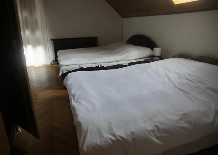 Szuzanna Fenyves Panzio B&B